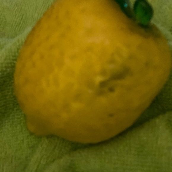 Glass fruit/ wax - Picture 4 of 9